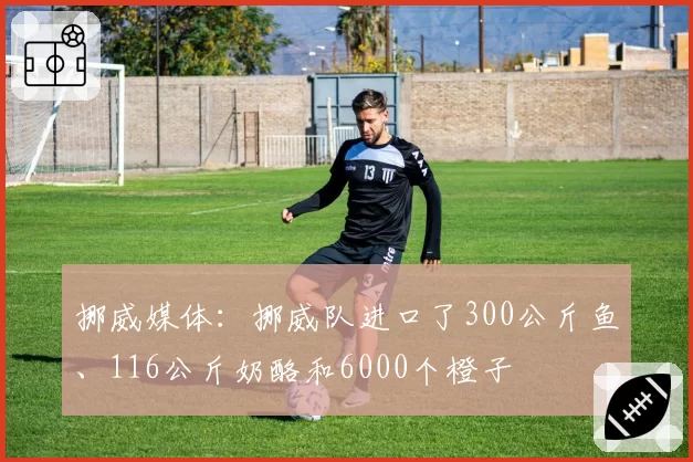 挪威媒体:挪威队进口了300公斤鱼、116公斤奶酪和6000个橙子