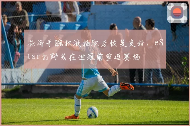 花海手腕积液抽取后恢复良好，eStar打野或在世冠前重返赛场