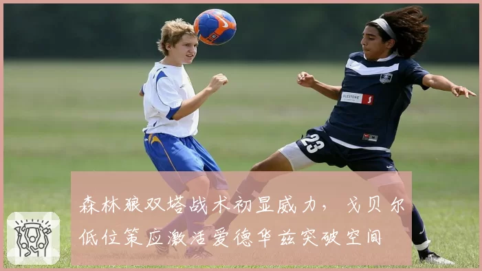 森林狼双塔战术初显威力,戈贝尔低位策应激活爱德华兹突破空间