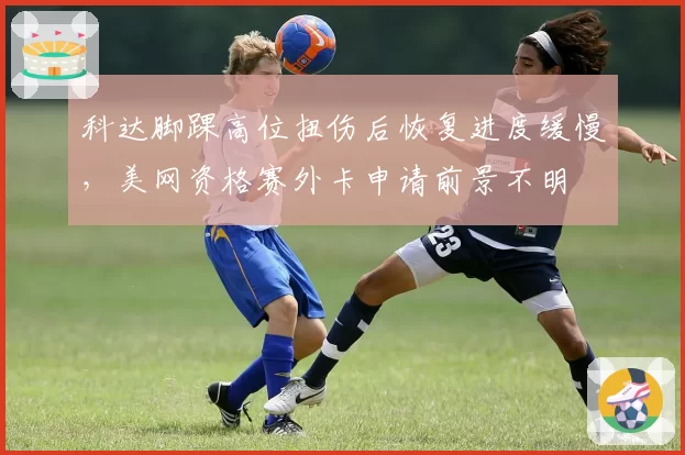 科达脚踝高位扭伤后恢复进度缓慢，美网资格赛外卡申请前景不明